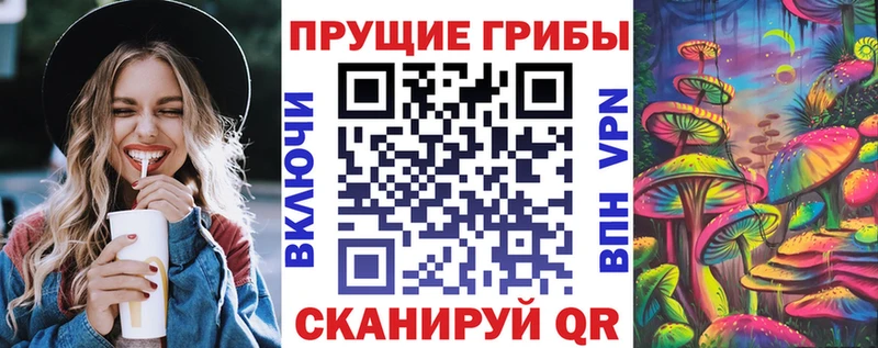 Галлюциногенные грибы Psilocybe  что такое наркотик  Новотроицк 