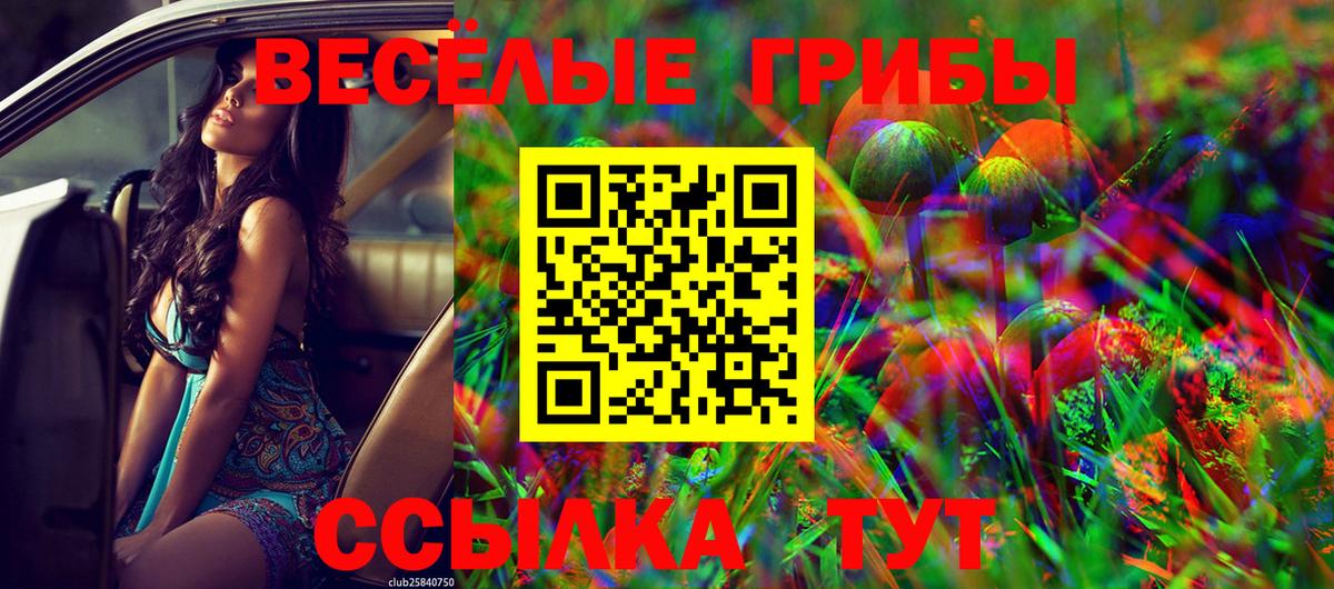 Галлюциногенные грибы мухоморы Новотроицк