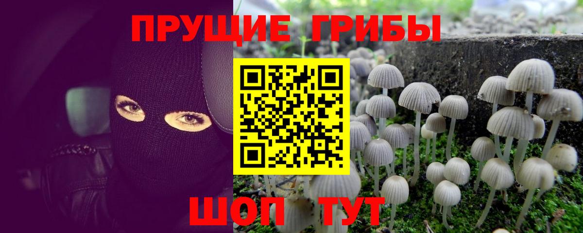 Псилоцибиновые грибы мухоморы  Вход с VPN  даркнет сайт  Новотроицк 